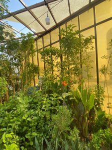 تصميم حدائق بالرياض